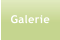 Galerie